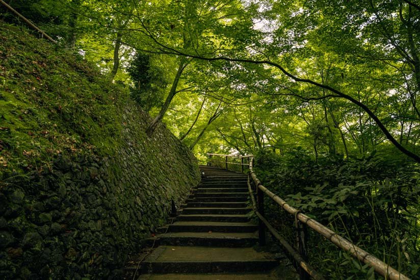 ⛩️ 가타노 아마쓰카미노야시로 (가타노 덴진 신사) 이미지 8
